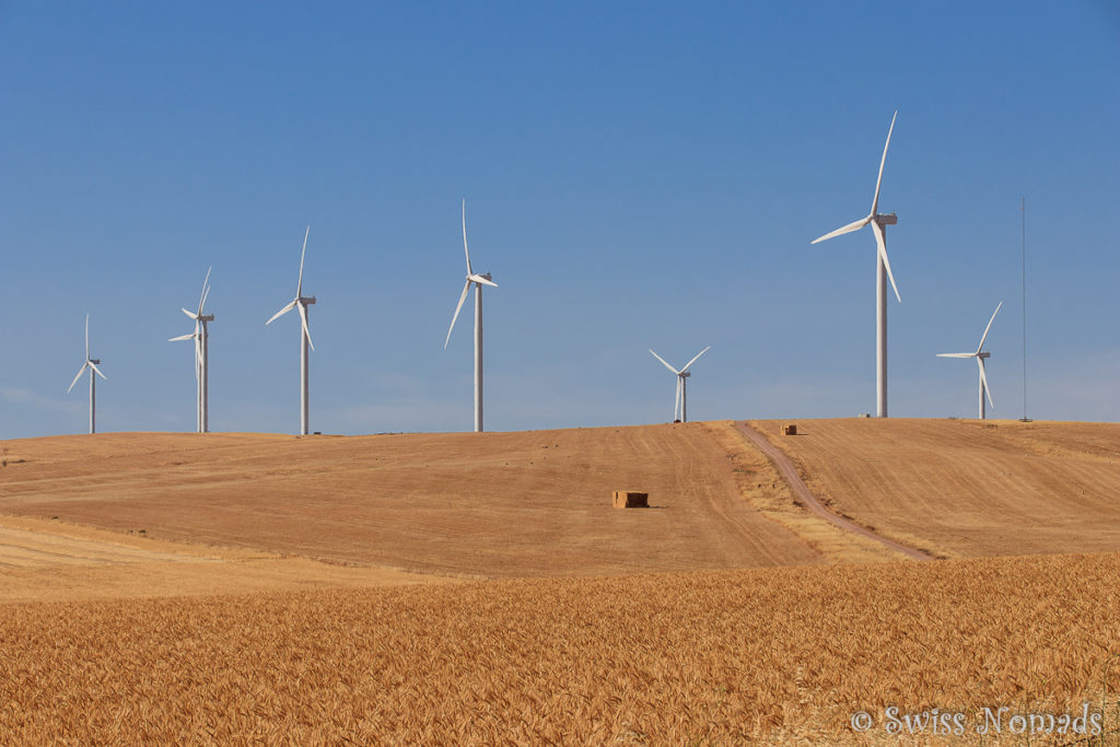 Windfarm auf der Yorke Halbinsel