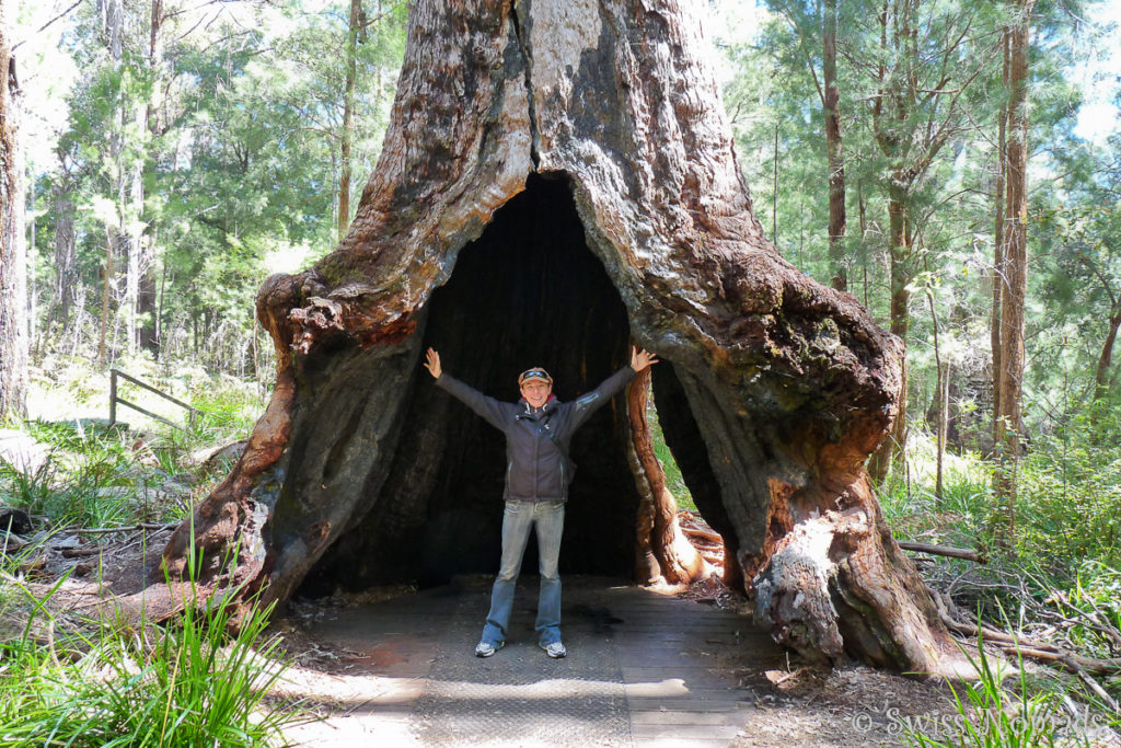 Der Ancient Empire Walk im Walpole-Nornalup Nationalpark