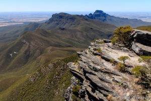 Mehr über den Artikel erfahren Wandern im Stirling Range Nationalpark – Hochgebirgsfeeling in Westaustralien