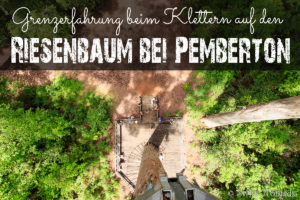 Read more about the article Grenzerfahrung beim Klettern auf den Riesenbaum bei Pemberton