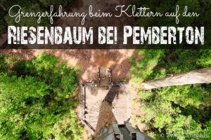 Mehr über den Artikel erfahren Grenzerfahrung beim Klettern auf den Riesenbaum bei Pemberton