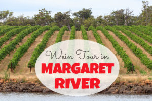 Mehr über den Artikel erfahren Komm mit uns auf die Margaret River Weintour