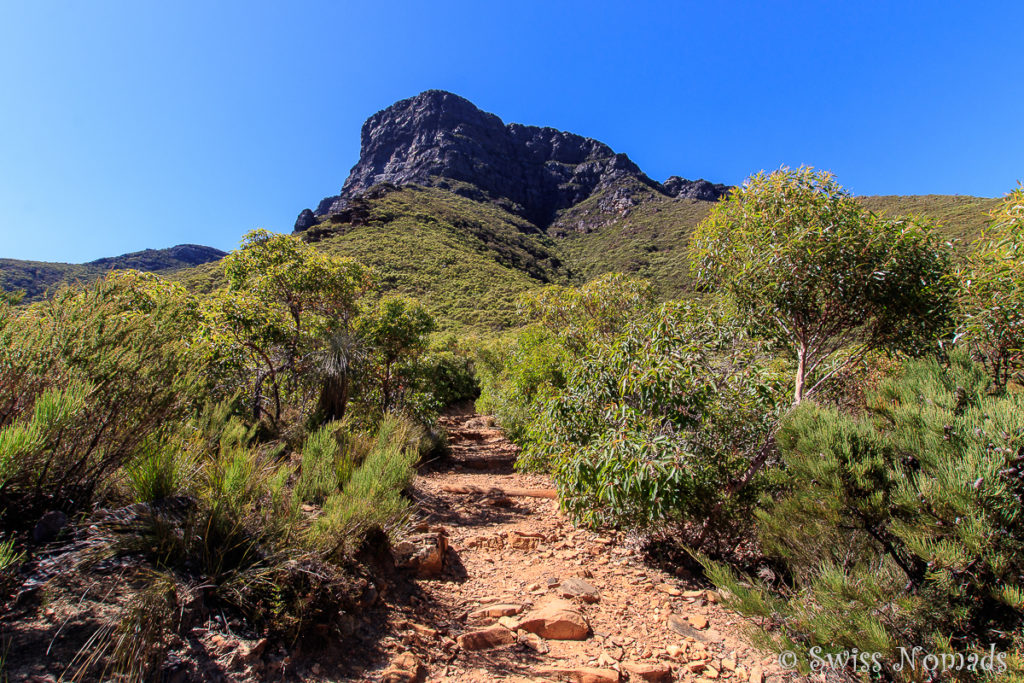 Bluff Knoll Wanderweg