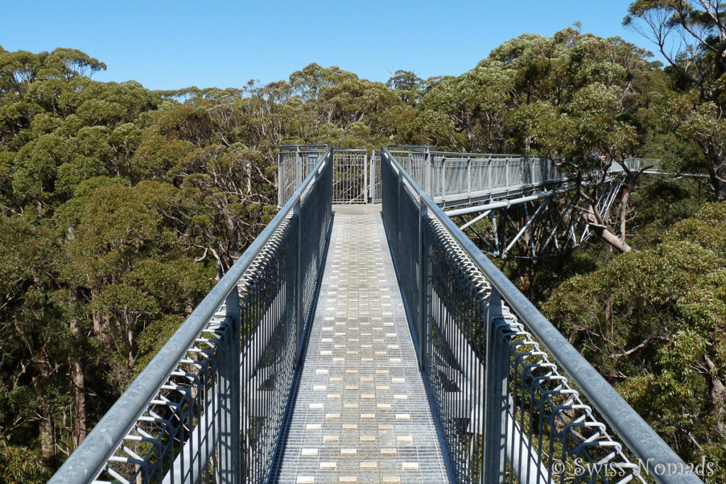 Tree Top Walk im Valley of the Giants im Walpole-Nornalup Nationalpark