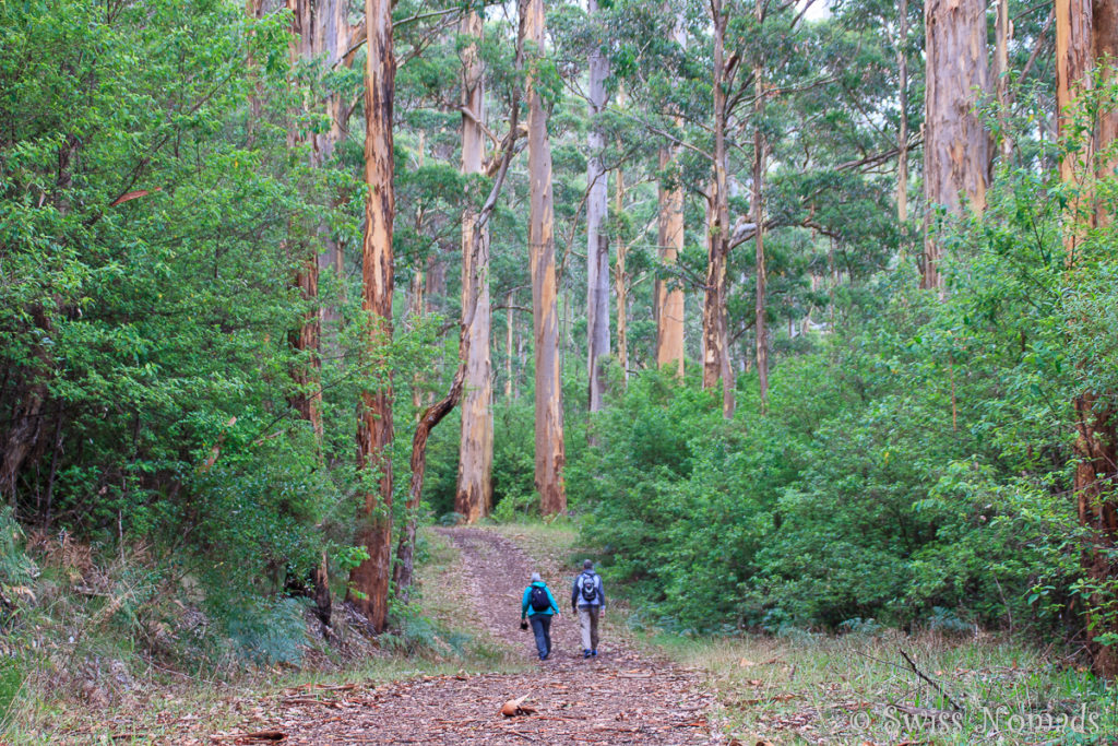 Wandern Porongurup Nationalpark