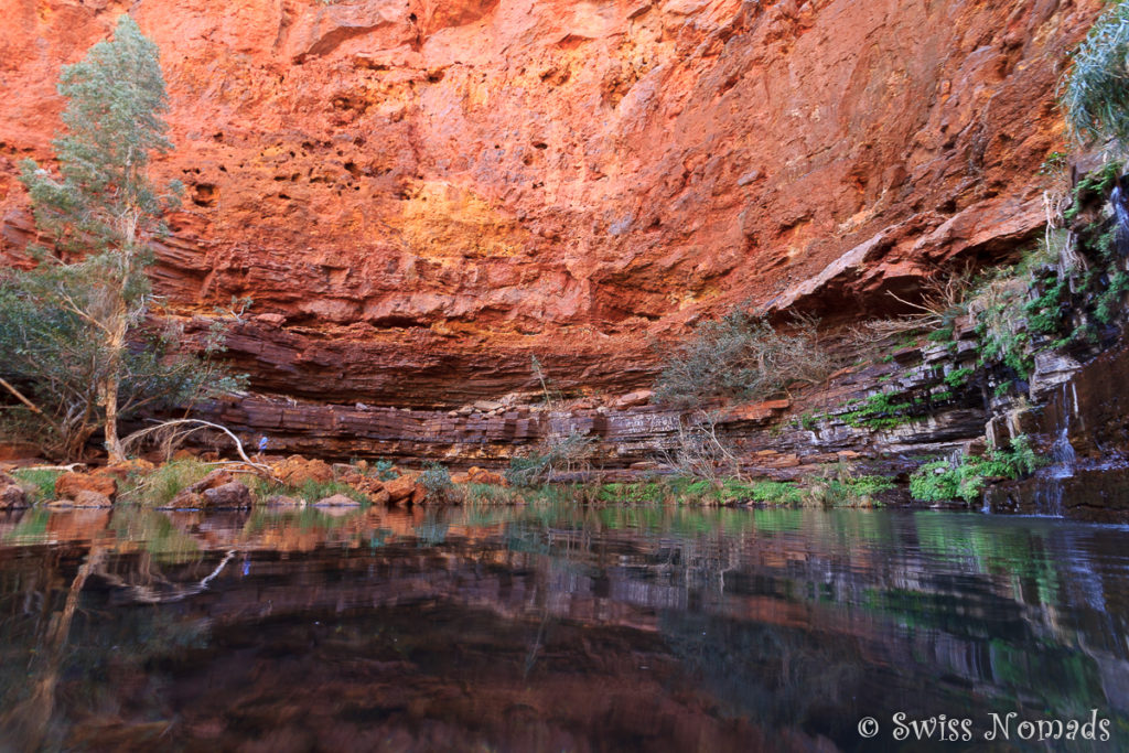 Circular Pool Dales Gorge Karijini Nationalpark