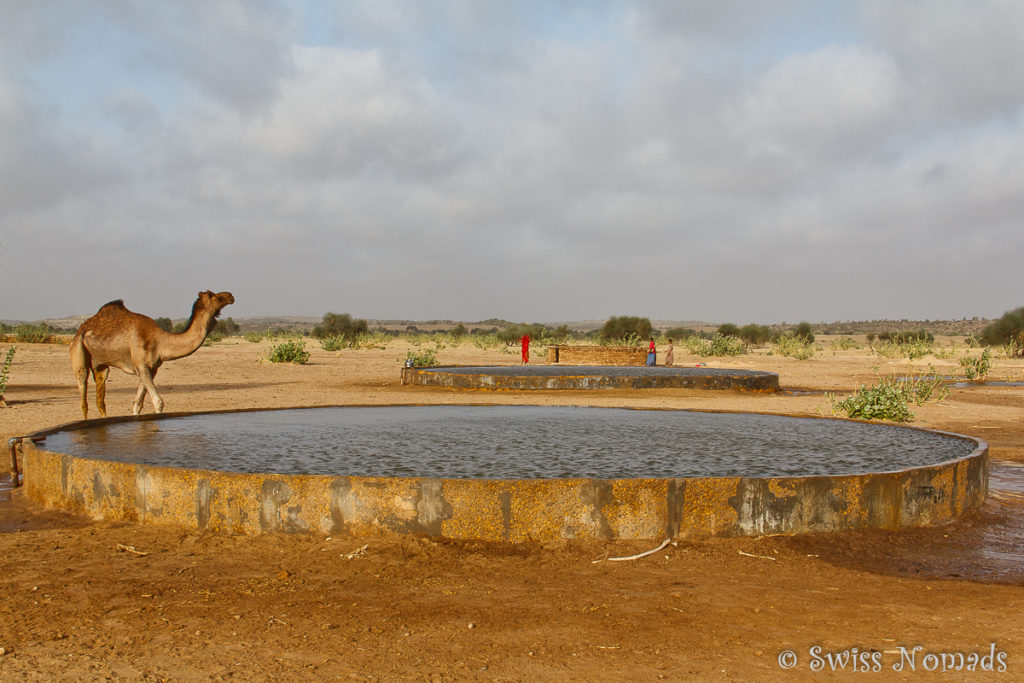 Der Dorfbrunnen in der Thar Wüste in Rajasthan