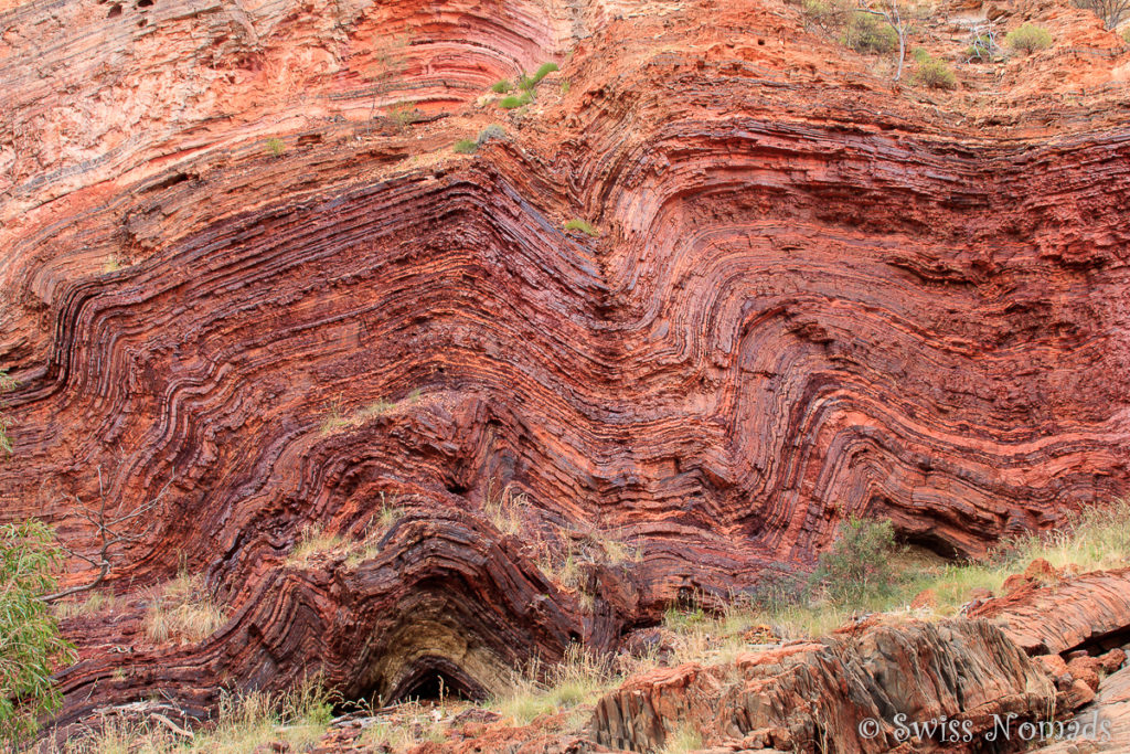 Hamersley Gorge im Karijini Nationalpark