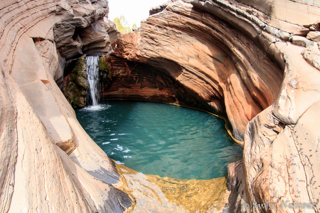 Hamersley Gorge Pool im Karijini Nationalpark