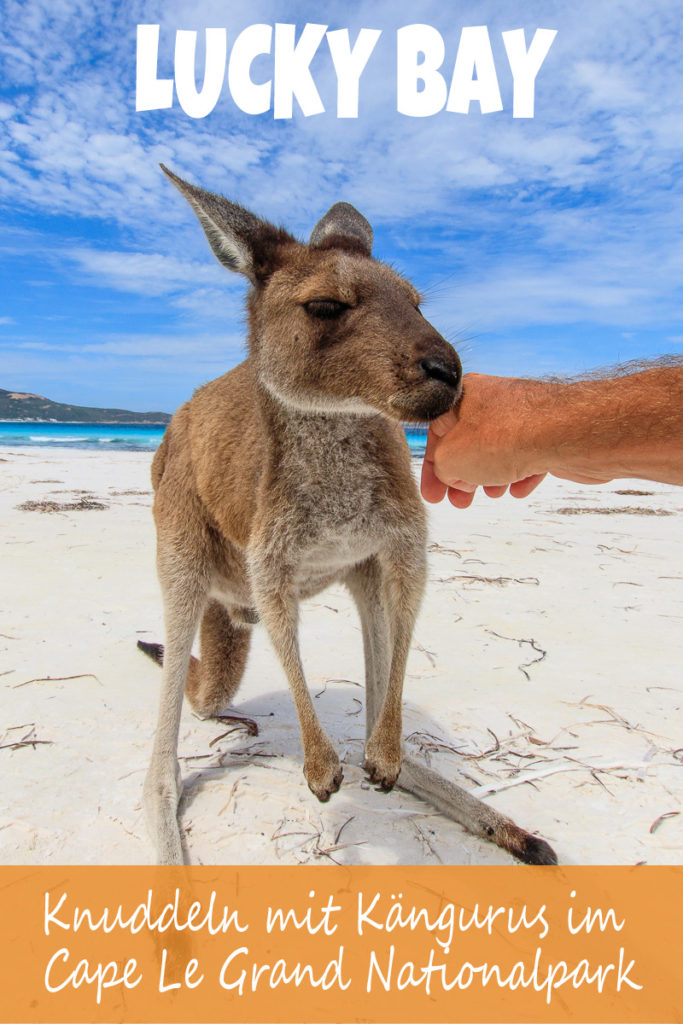 Lucky Bay im Cape Le Grand Nationalpark