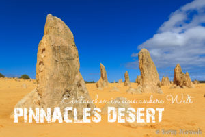 Mehr über den Artikel erfahren Pinnacles Desert – Sind wir auf einem anderen Planeten gelandet?