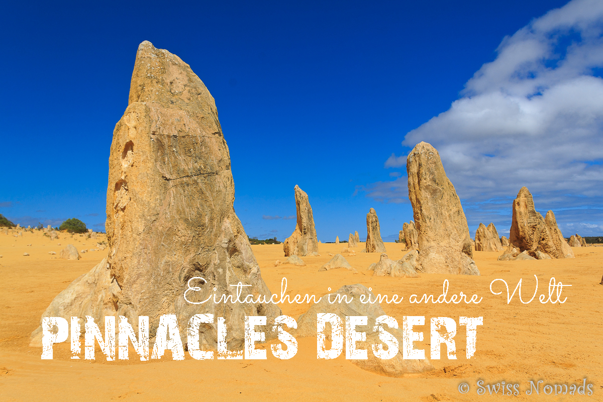 You are currently viewing Pinnacles Desert – Sind wir auf einem anderen Planeten gelandet?