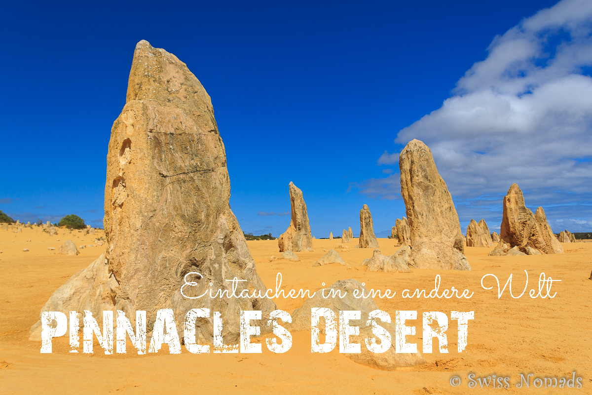 Mehr über den Artikel erfahren Pinnacles Desert – Sind wir auf einem anderen Planeten gelandet?