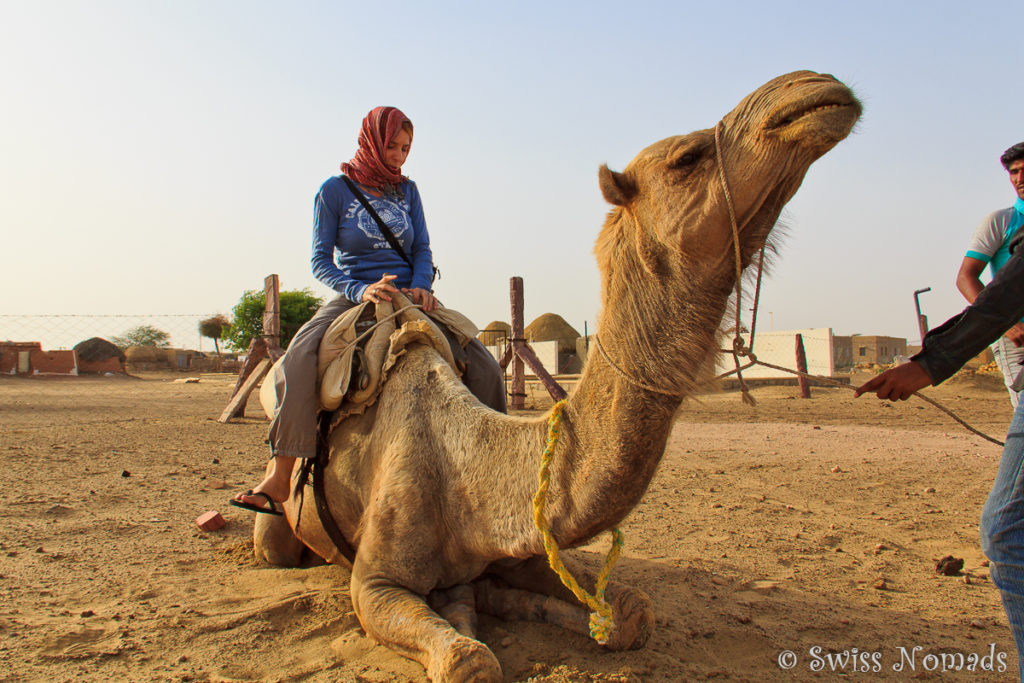 Reni auf dem Kamel in der Thar Wüste in Rajasthan