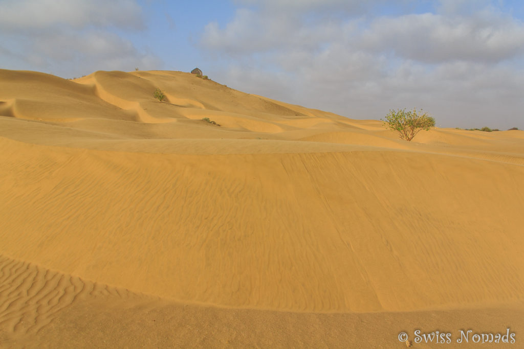 Riesiger Sandberg in der Thar Wüste in Rajasthan