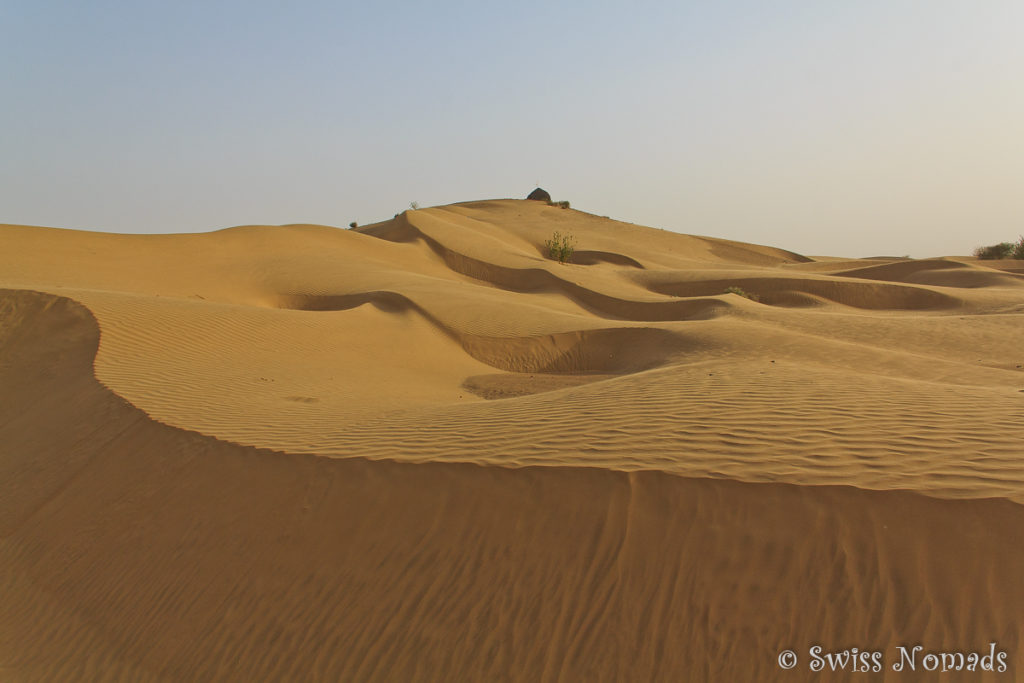Die Sanddüne in der Thar Wüste in Rajasthan