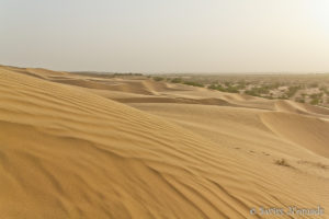 Read more about the article Wie die Bewohner in der Thar Wüste in Rajasthan leben
