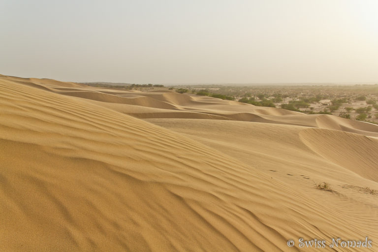 Die Sanddünen in der Thar Wüste in Rajasthan