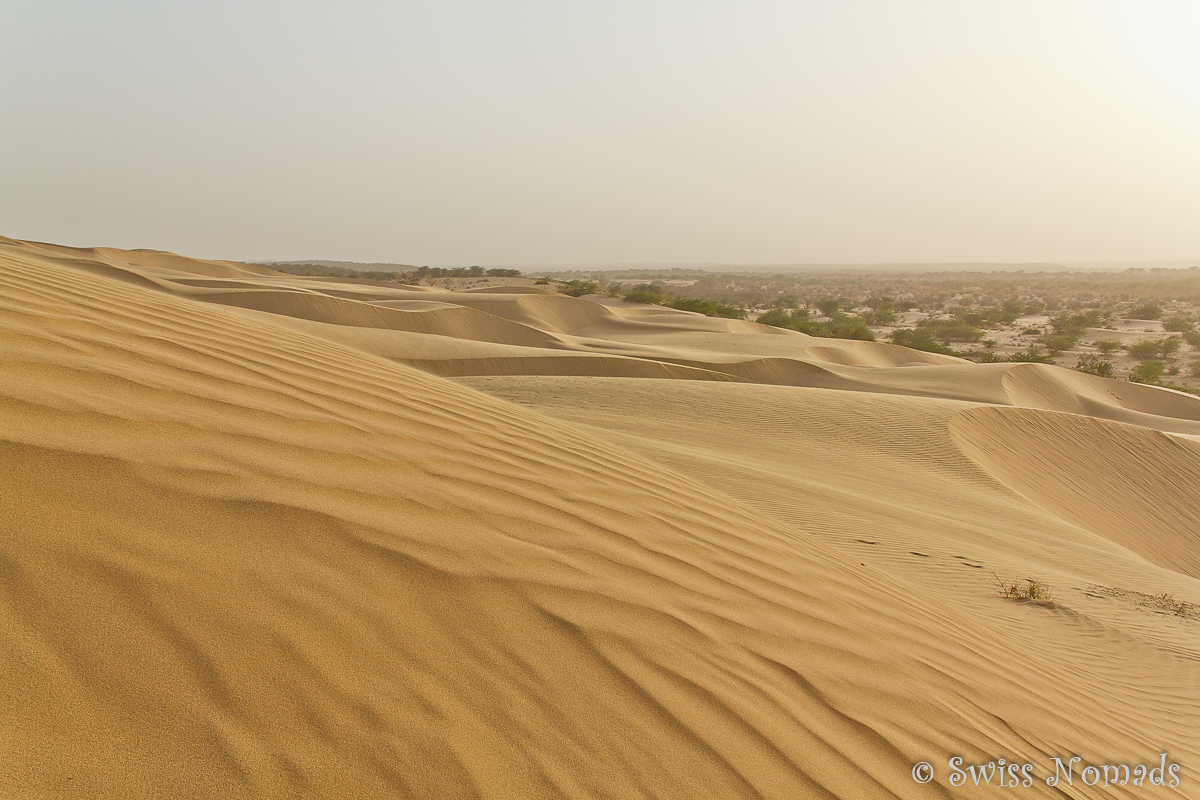 Mehr über den Artikel erfahren Wie die Bewohner in der Thar Wüste in Rajasthan leben