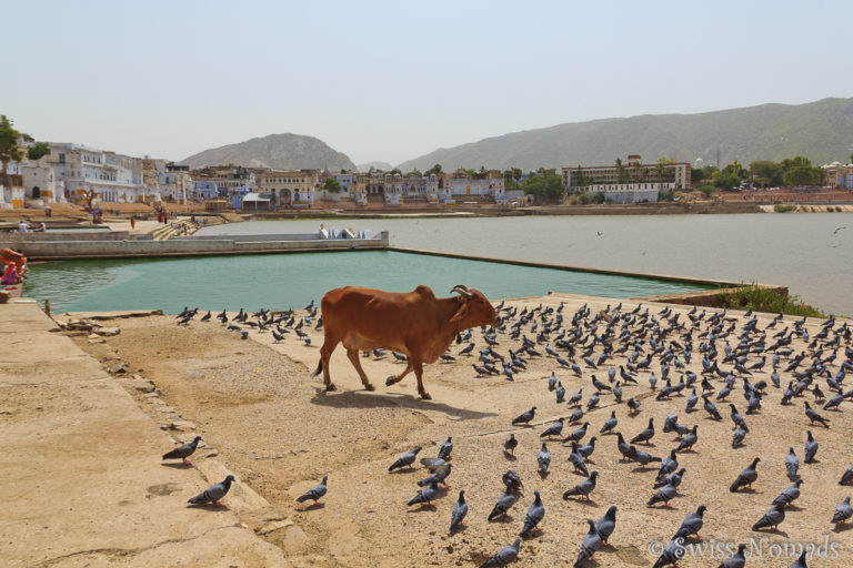 Die Bäder um den Heiligen See in Pushkar