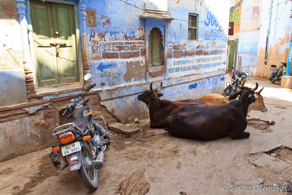 Auch die engen Strassen sind eine Sehenswürdigkeit in Jodhpur