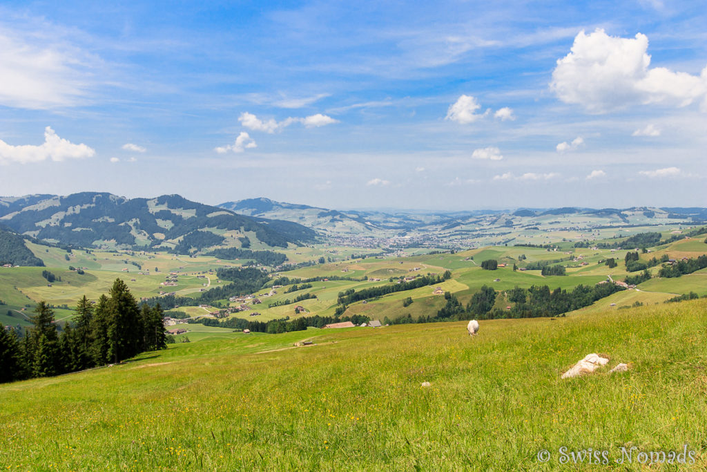 Aussicht Bruelisau