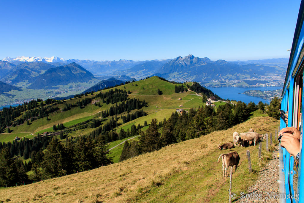 Rigi Bahn im Sommer