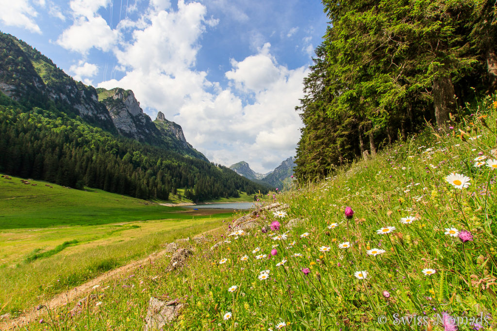 Sämtisersee im Sommer