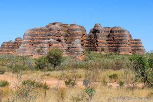 Read more about the article Der Purnululu Nationalpark beeindruckt mit seiner wundervollen Landschaft der Bungle Bungles