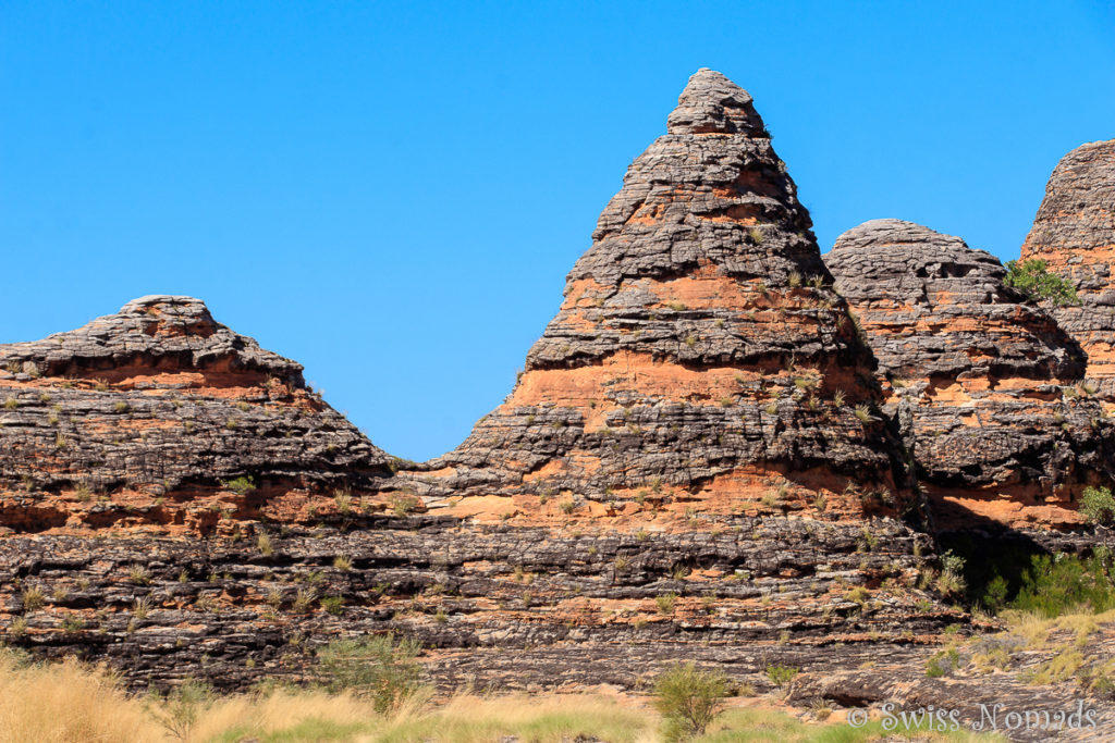 Die typischen Fels Dome des Purnululu Nationalparks