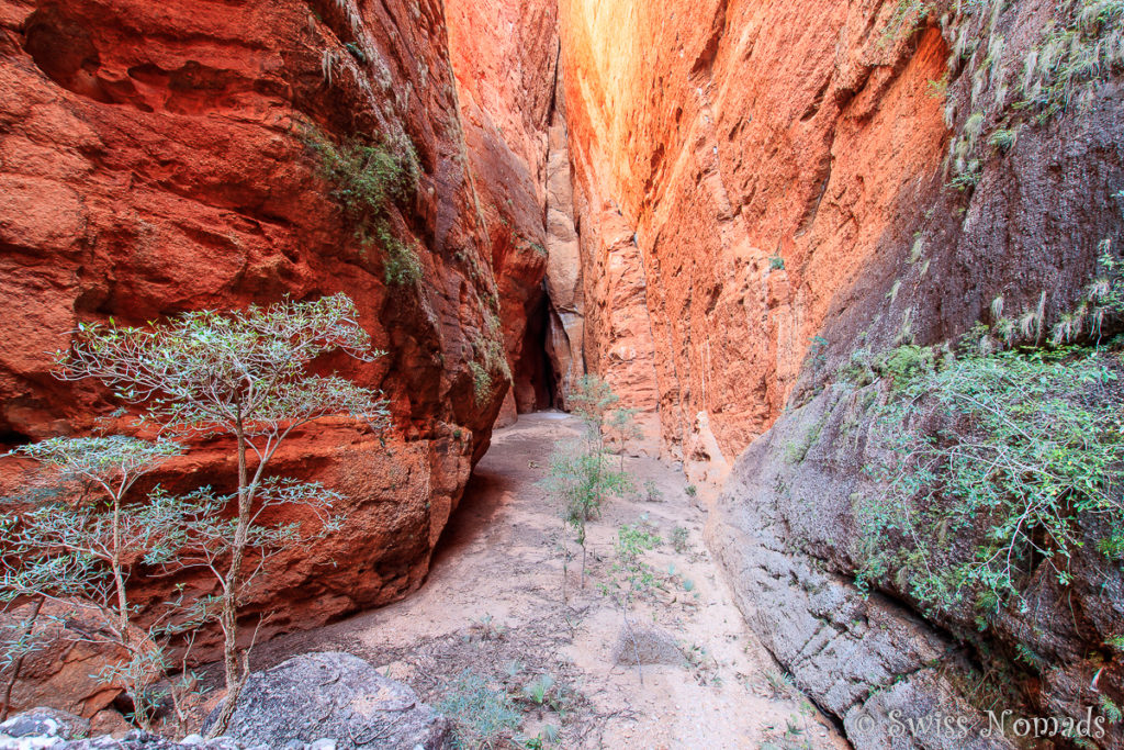 Der Felsenkessel im Minipalms Gorge im Purnululu Nationalpark