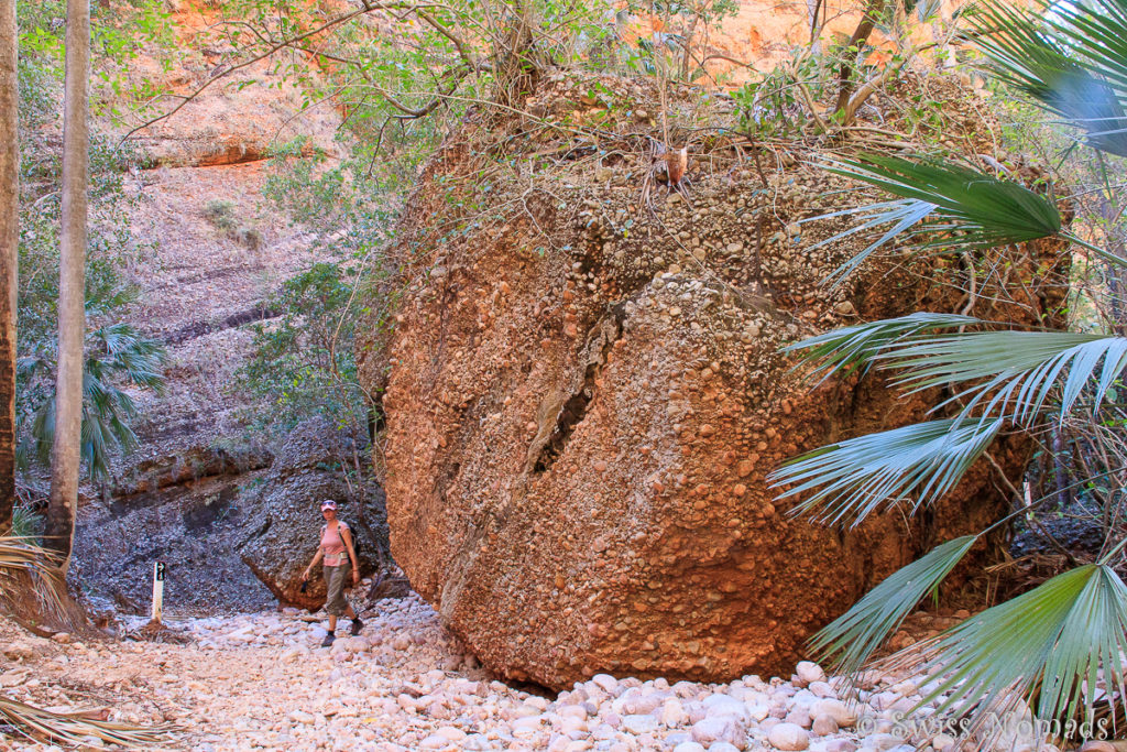 Die Minipalms Wanderung im Purnululu Nationalpark