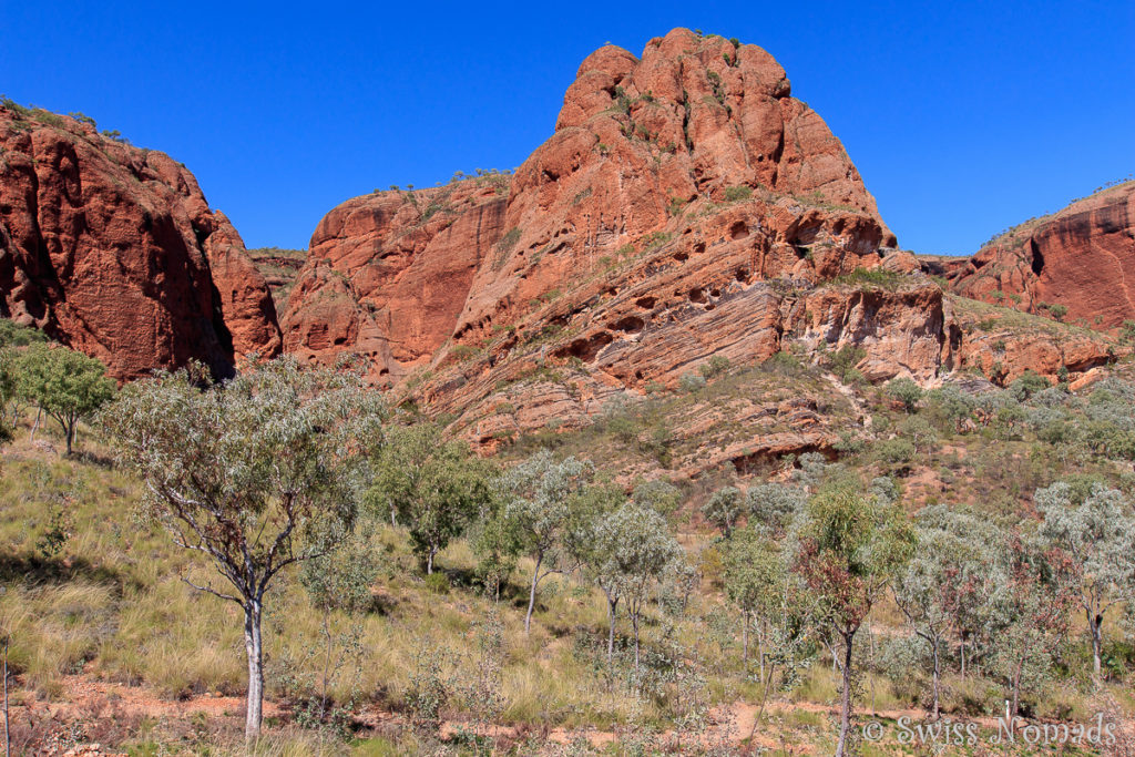 Steile Felswände dominieren den nördlichen Teil des Purnululu Nationalparks