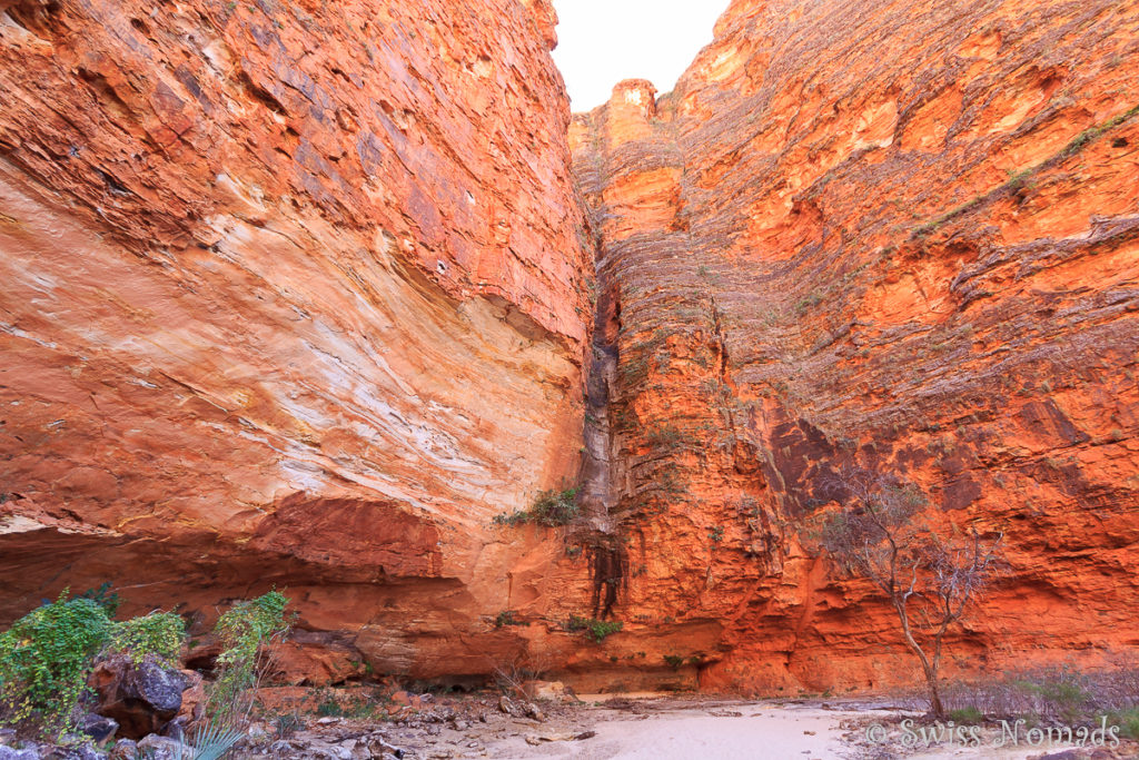 Das Ende des Whipsnake Gorge im Purnululu Nationalpark