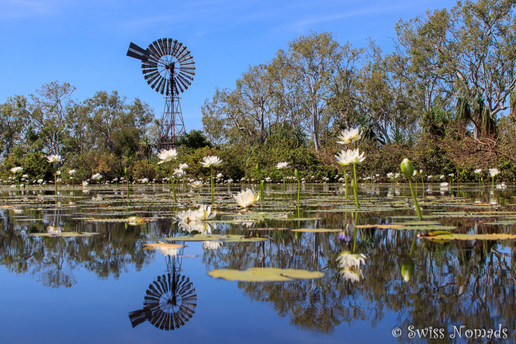 Cockatoo Lagoon Keep River Nationalpark