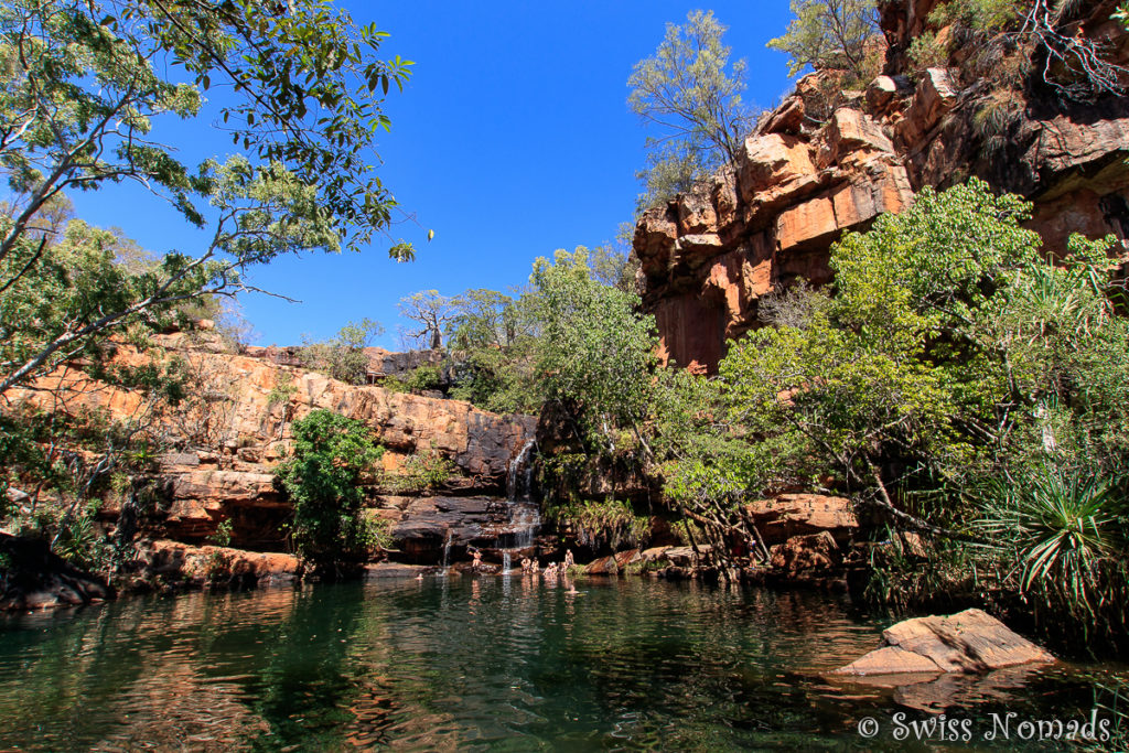 Badepool in der Galvans Gorge entlang der Gibb River Road