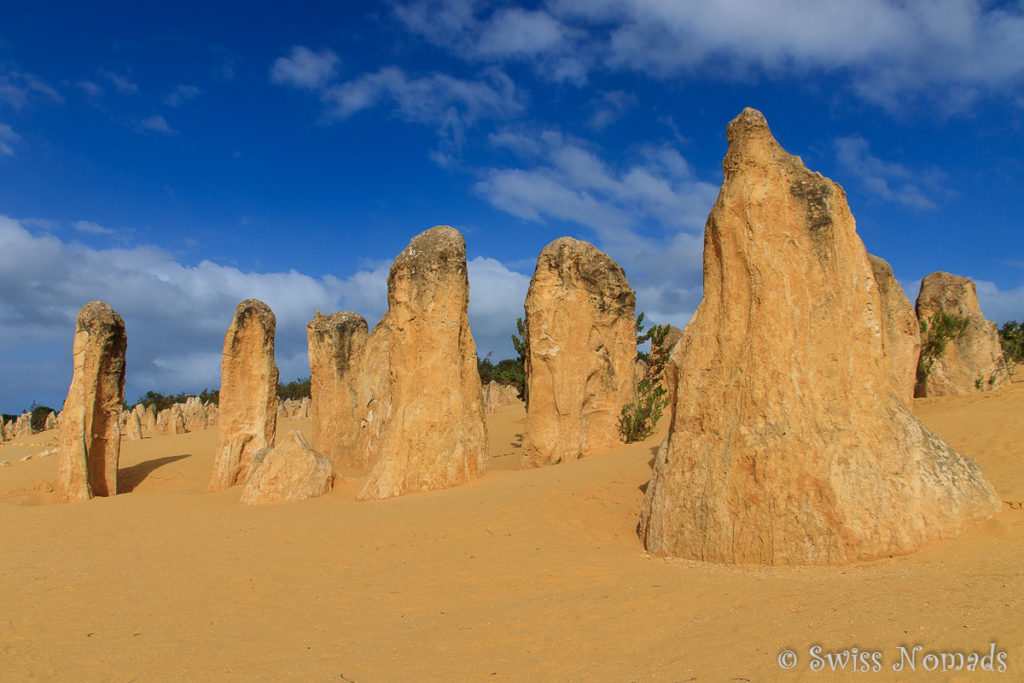 Die Pinnacles im Nambung Nationalpark in Westaustralien