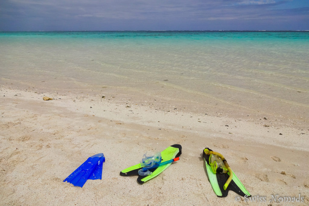 Schnorcheln am Ningaloo Reef in Exmouth