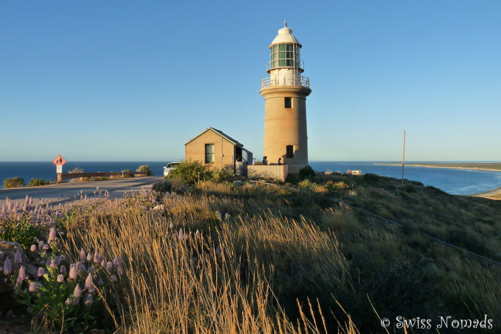 Der Vlaming Head Leuchtturm nördlich von Exmouth