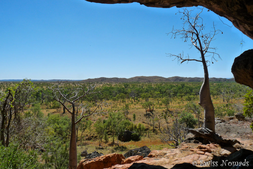 Blick aus dem riesigen Felsüberhang bei der Windjana Gorge