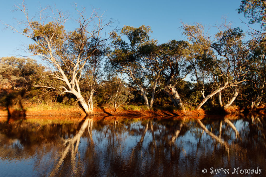 North Pool Camp Canning Stock Route