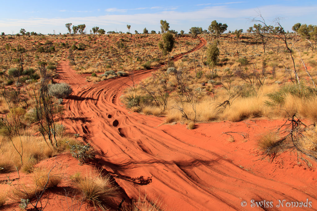 Rote Sandduene auf der Canning Stock Route