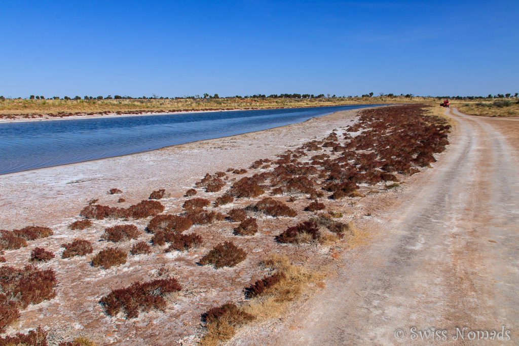 Savory Creek auf der Canning Stock Route