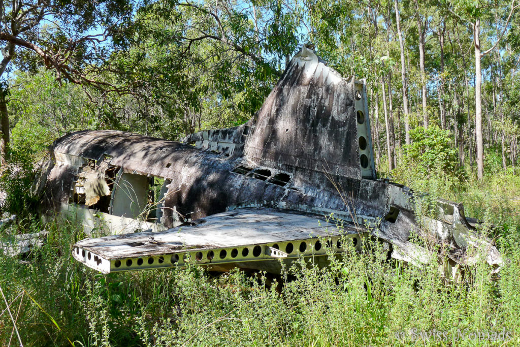 DC-3 Flugzeug Wrack auf der Cape York Halbinsel