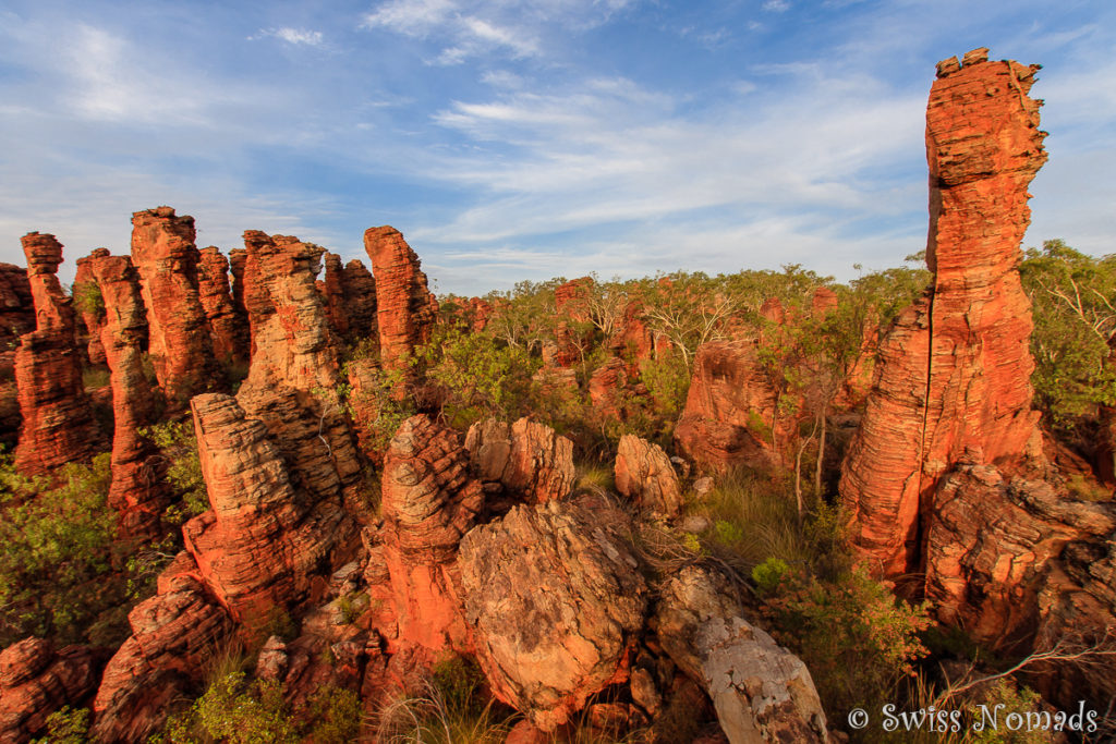 Die Southern Lost City im Limmen Nationalpark