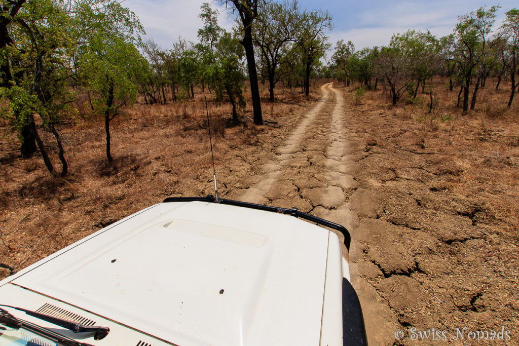 Track to the Western Lost City in the Limmen Nationalpark