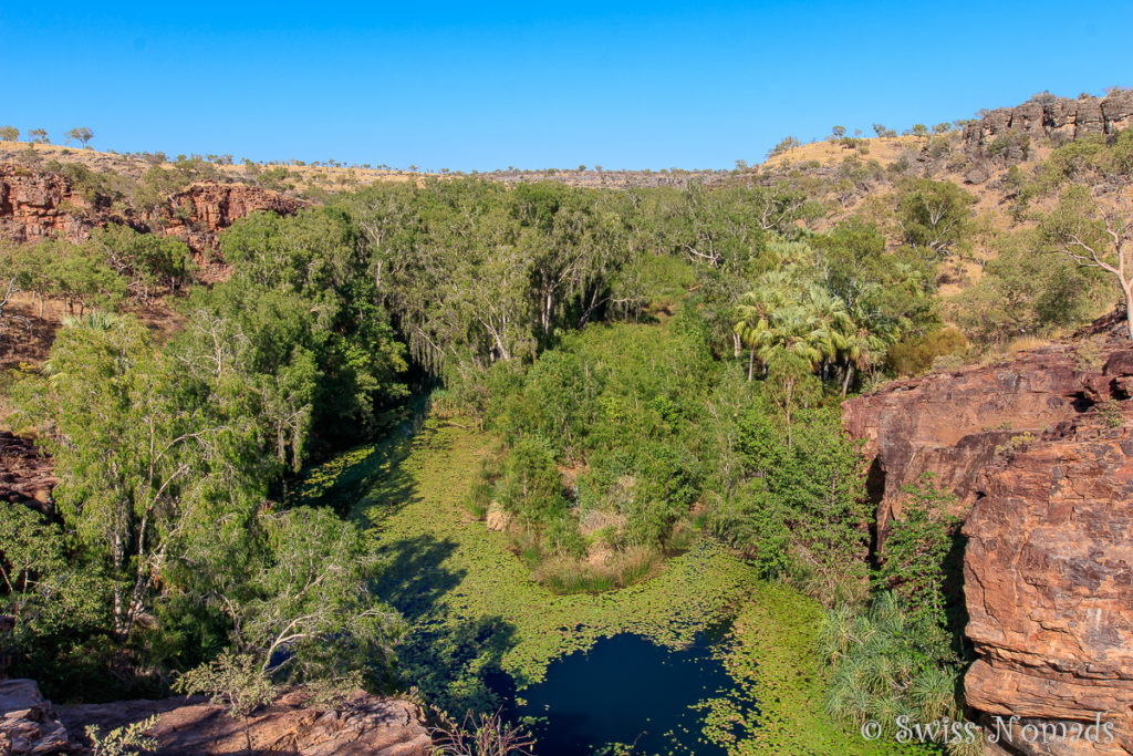 Aussicht vom Upper Gorge Lookout im Lawn Hill Nationalpark