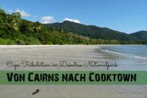 Read more about the article Von Cairns via Cape Tribulation im Daintree Nationalpark nach Cooktown