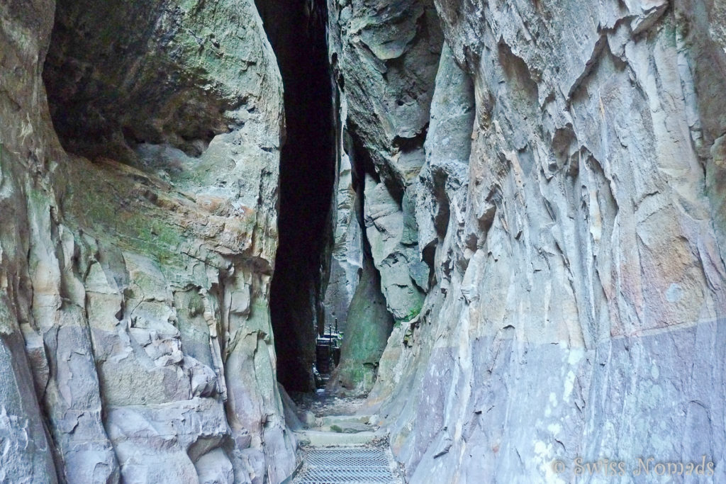 Der enge Weg zum Carnarvon Gorge Amphiteater
