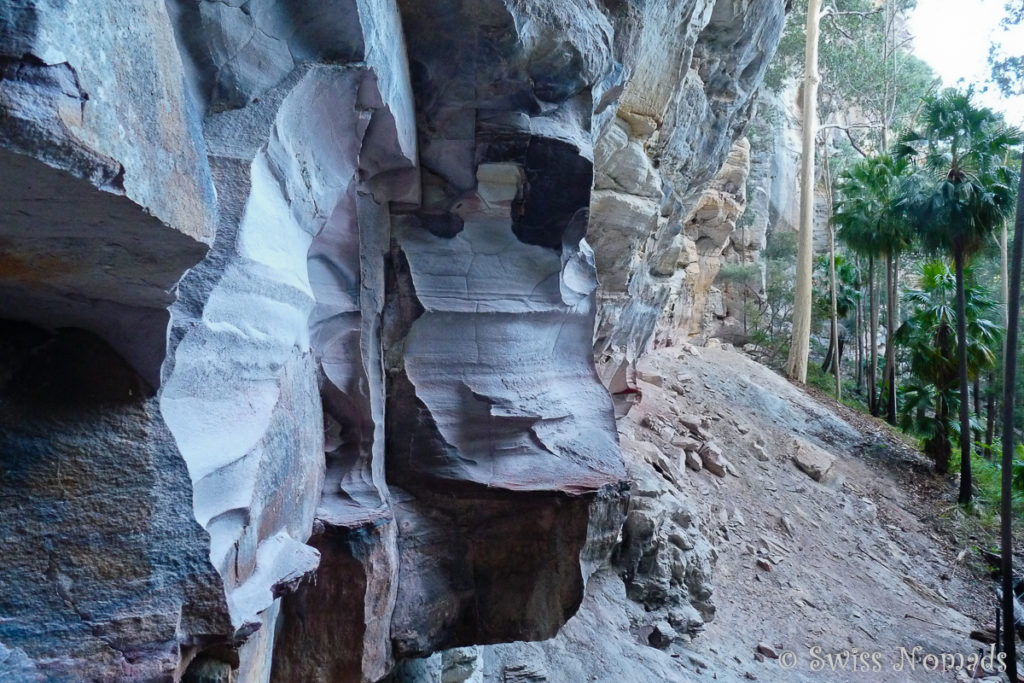 Die Felswand der Carnarvon Gorge Art Gallery